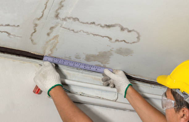 Reliable Burst Pipe Cleanup contractor in Buena Vista, MI by Water Damage Irwin